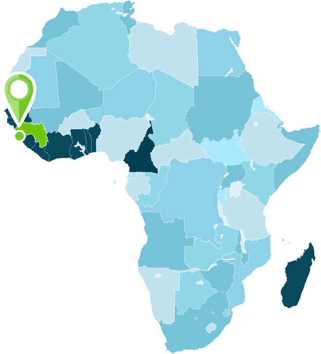 Carte de l'Afrique avec pointeur sur la Guinée